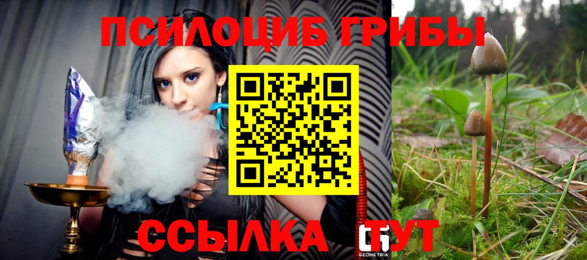 Псилоцибиновые грибы Magic Shrooms Рославль